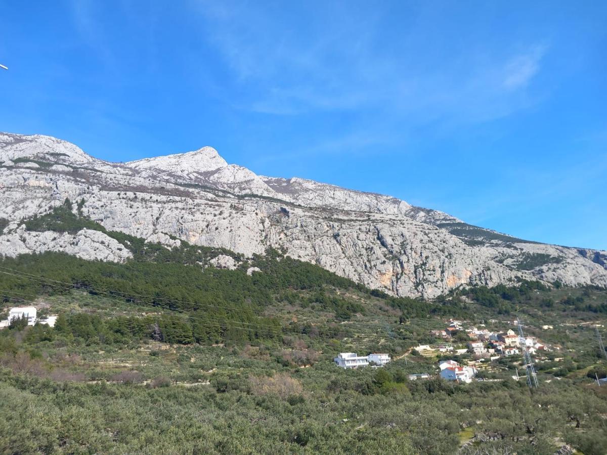 Duje Toni Apartment Makarska